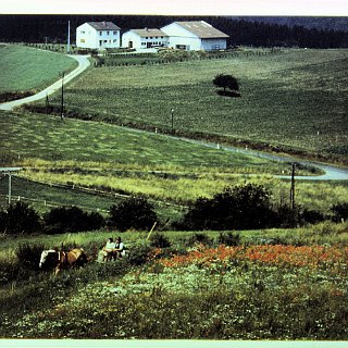 Bild0469 196x Eddersbacher Hof. Vorne auf dem Wagen mit Pferd Flora Irma Krieger verh. Krautwurst mit ihrem Vater Karl Krieger.