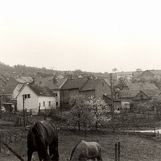 Bild0182 Frühjahr (Obstbaumblüte)1963 oder 64. Blick auf die Rückseite der Talstrasse aus Richtung der ehemaligen Kirchweide. Rechts der Feldweg die heutige...