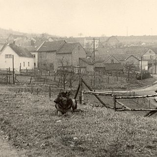 Bild0183 nach April 63. Blick auf die Rückseite der Talstrasse aus Richtung "Im Biengarten". Im Vordergrund die ehemaligen Kirchweide. re. unten die heutige...