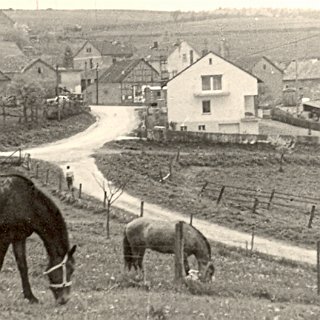 Bild0184 Frühjahr (Obstbaumblüte)1963 oder 64. Blick auf die Rückseite der Talstrasse aus Richtung der ehemaligen Kirchweide. Rechts der Feldweg ist heute die Wallufer...